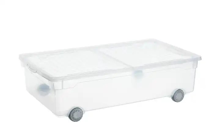 Rotho Aufbewahrungsbox mit Rollen | Sconto - Der Möbelmarkt