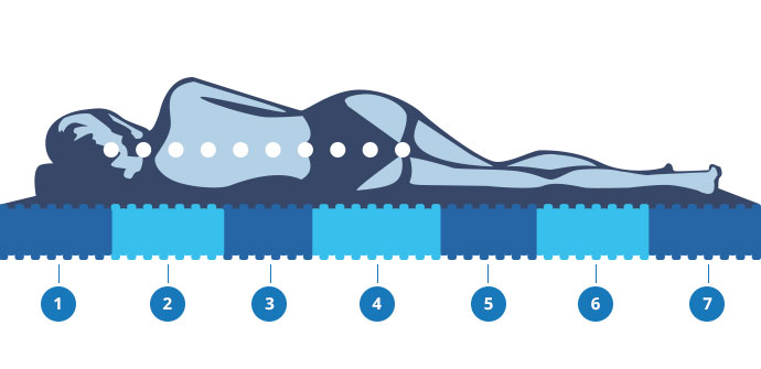 Querschnitt von seitlich auf Matratze liegendem Menschen und 7 markierten Liegezonen in Blautönen vor weißem Hintergrund 