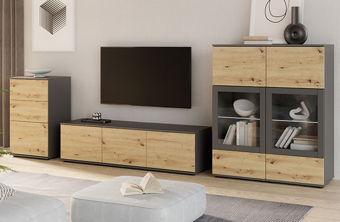 Wohnwand in einen Wohnzimmer