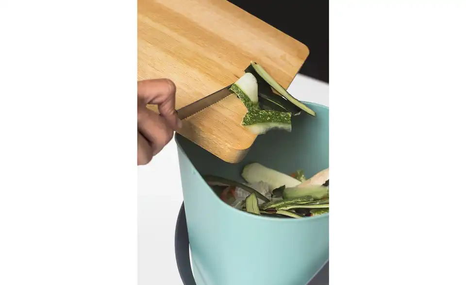 Rotho Abfallbehälter 25 Liter Albula, in Wohnsituation