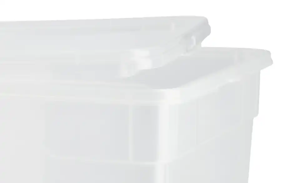 Rotho Aufbewahrungsbox, 4er Set, Detailansicht