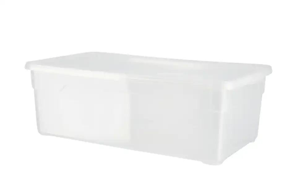 Rotho Aufbewahrungsbox, 4er Set, Perspektive