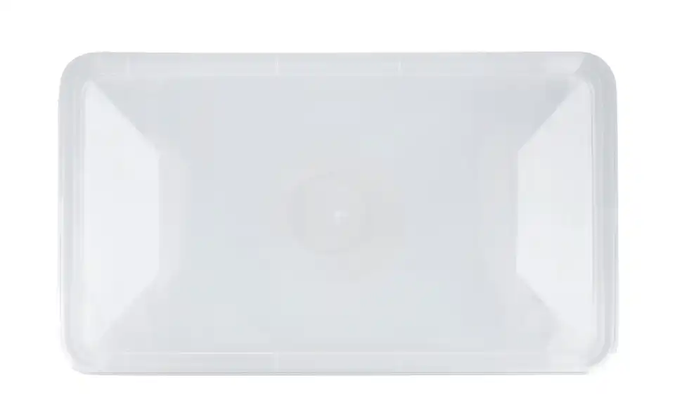 Rotho Aufbewahrungsbox, 4er Set, Perspektive