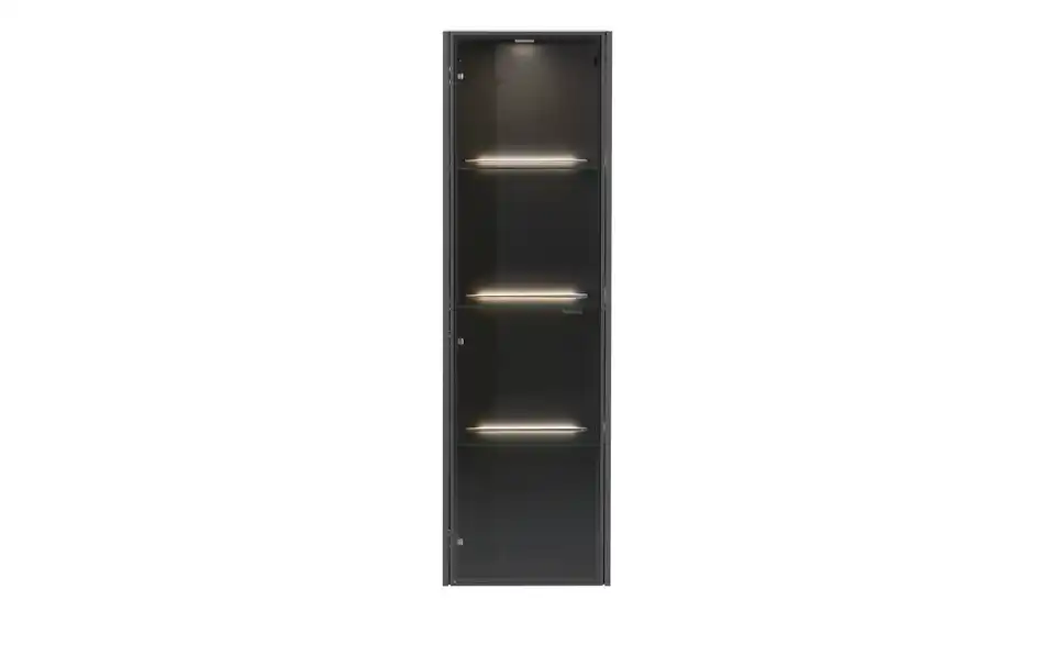 Hängevitrine Light Line 10, Frontansicht