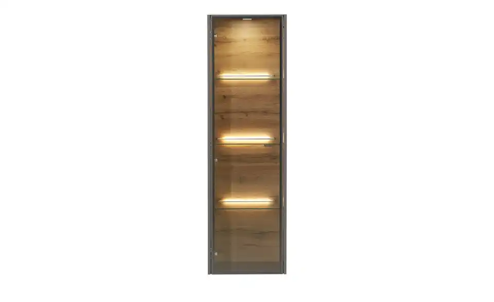 Hängevitrine Light Line 10, Frontansicht