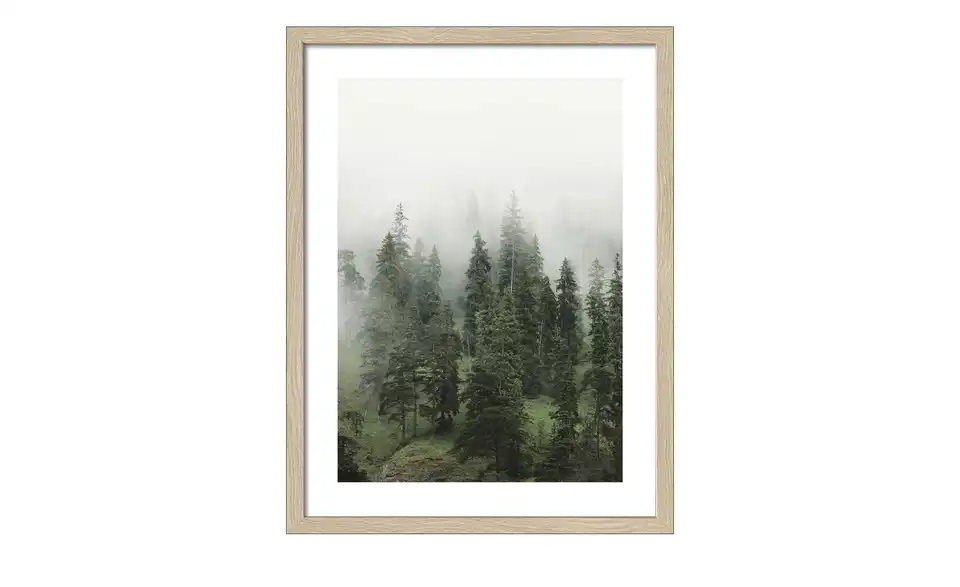Gerahmtes Bild 30x40 cm Foggy Trees II, Frontansicht