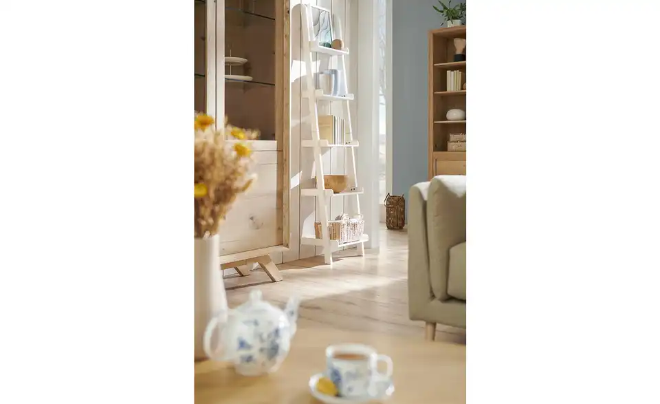 Regal Sarigo, in Wohnsituation