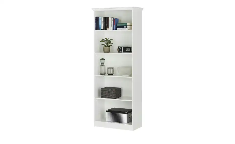 Regal Forno, Perspektive