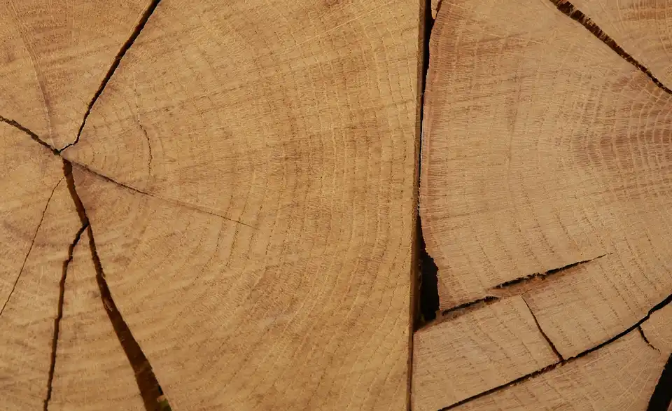 TV-Lowboard Galera, Detailansicht