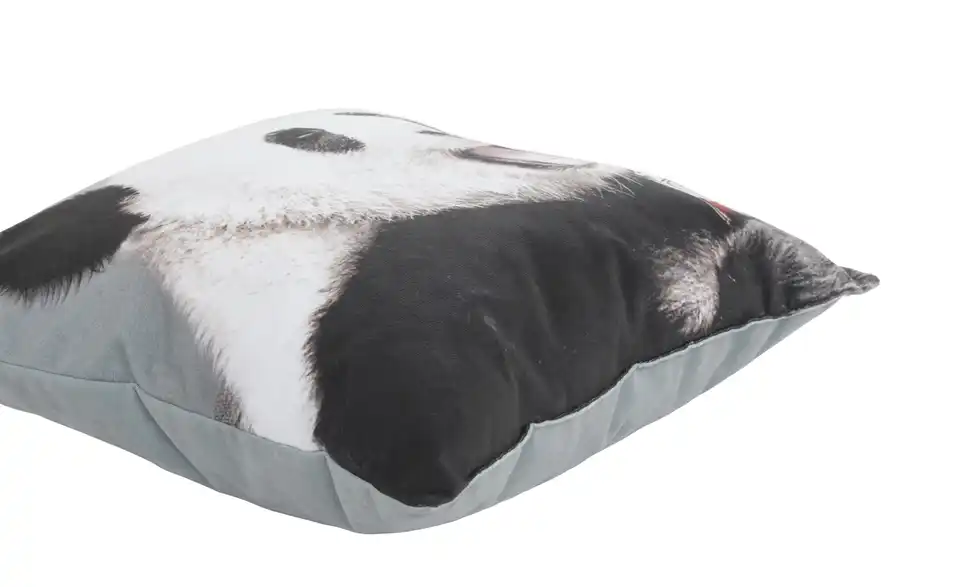 Dekokissen Panda, Perspektive