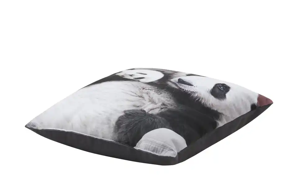 Dekokissen Panda, Perspektive