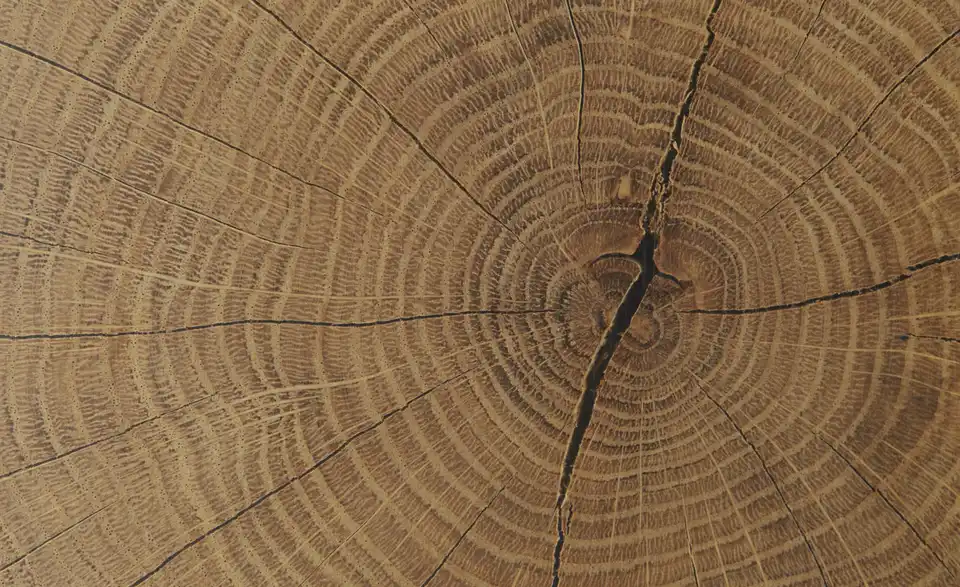 Kommode Fun Plus, Stoffstruktur