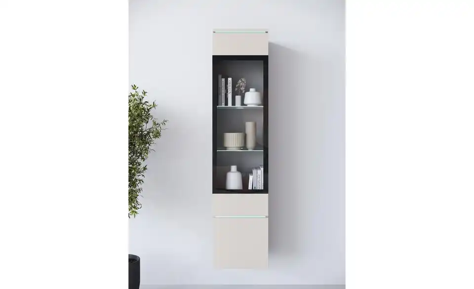 Vitrine, in Wohnsituation
