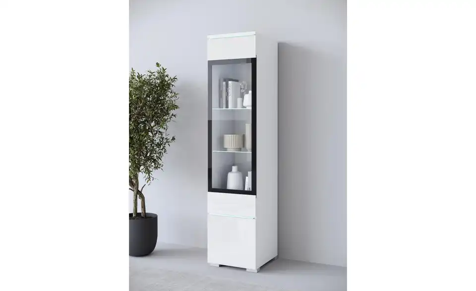Vitrine, in Wohnsituation