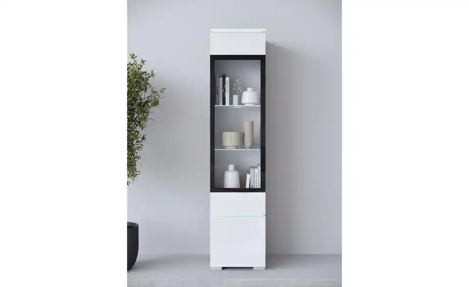 Vitrine, in Wohnsituation