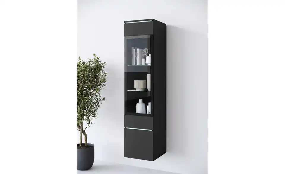 Vitrine, in Wohnsituation