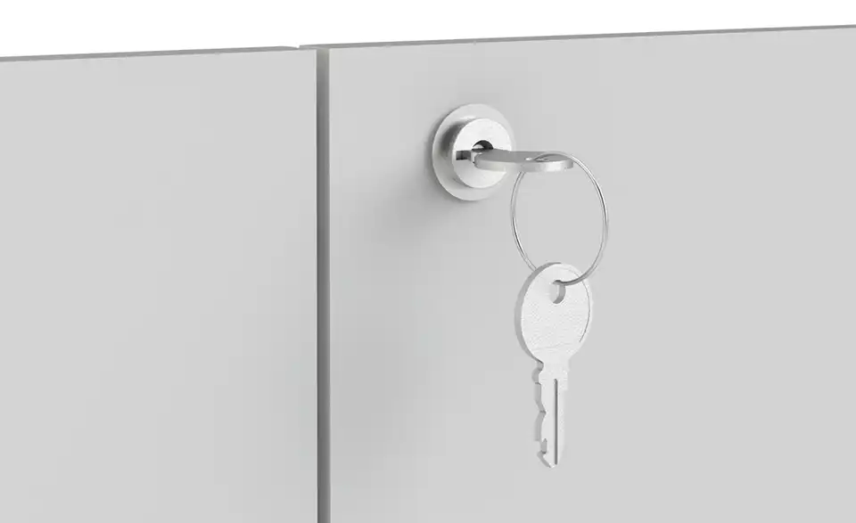 2 Türen mit Schloß Saale, Detailansicht