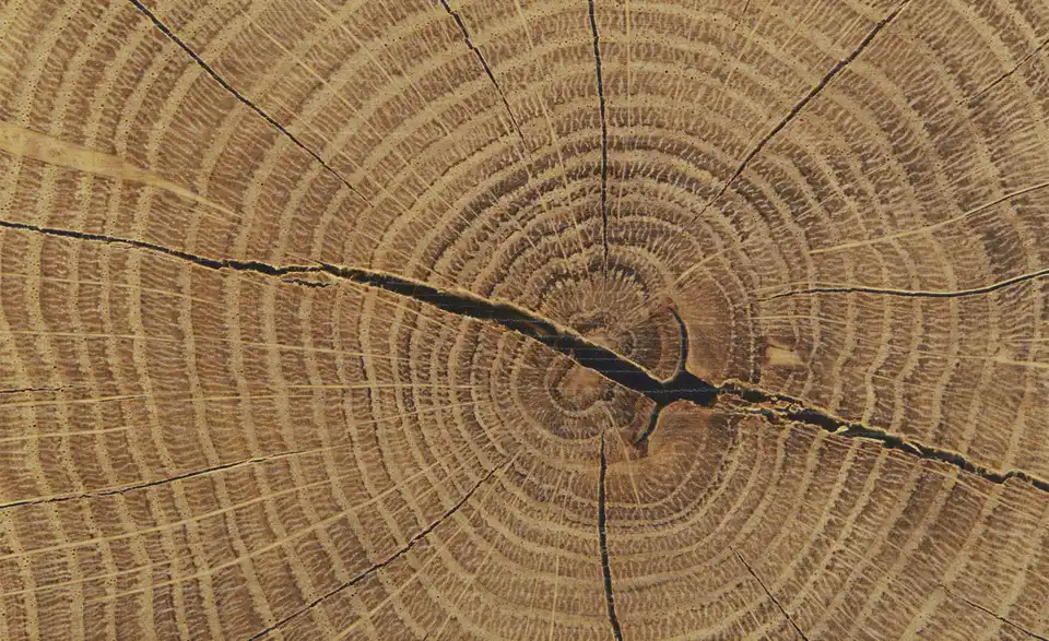 Schuhschrank Fun Plus, Detailansicht