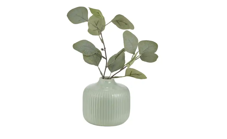 Vase, Funktionsansicht