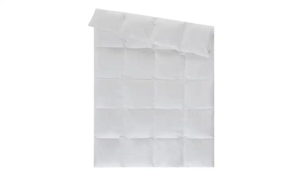 Kassettendecke medium Arktis, Frontansicht
