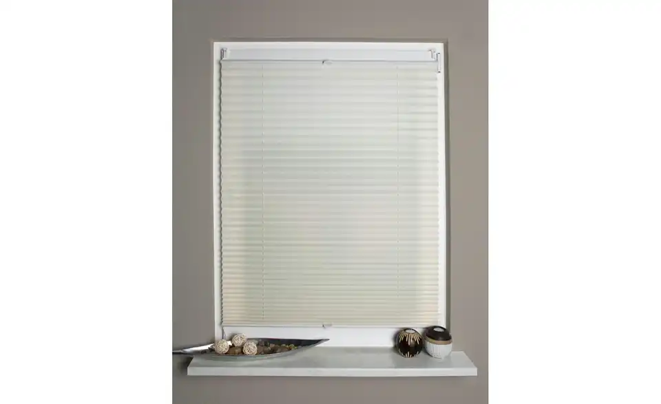 HOME Wohnideen Plisseerollo, Rückansicht