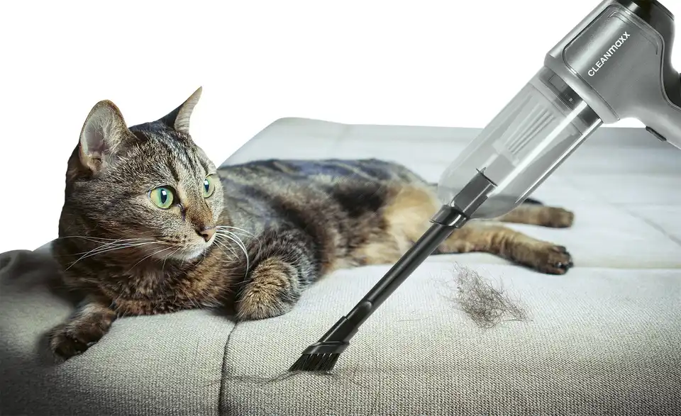 CleanMaxx Handstaubsauger 12244, Funktionsansicht