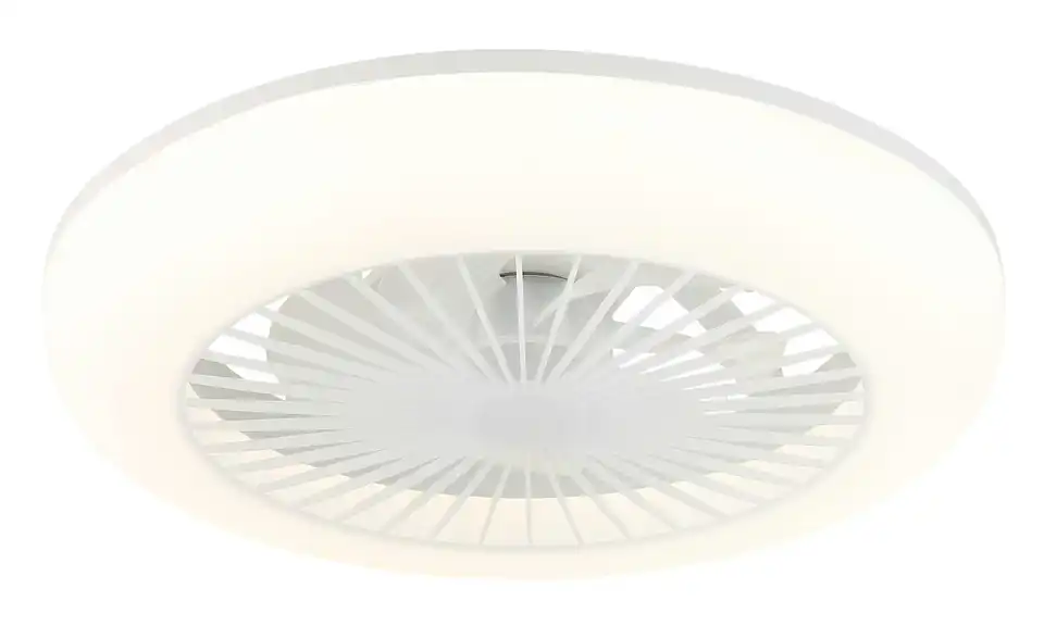 Globo Lighting Deckenventilator, Frontansicht