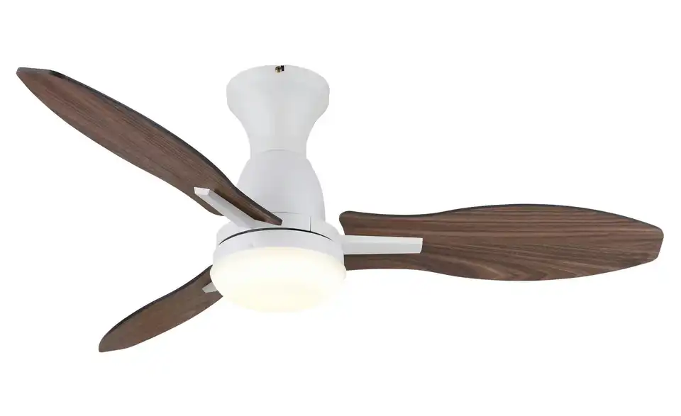 Globo Lighting Deckenventilator, Frontansicht