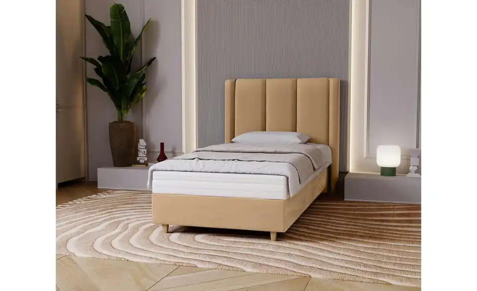 Boxbett Bella, in Wohnsituation