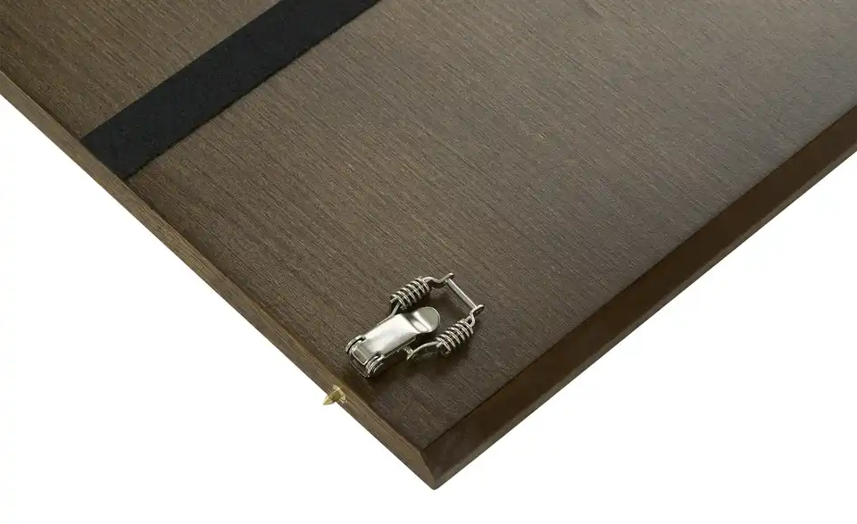 Esstisch ausziehbar Aaron, Detailansicht