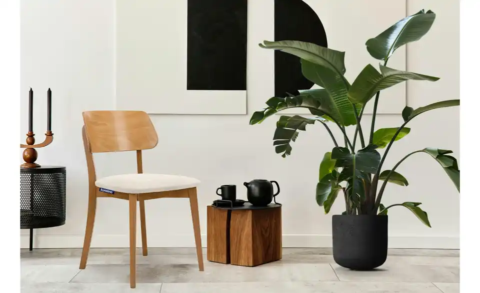 KONSIMO Holzstuhl 2er-Set, in Wohnsituation