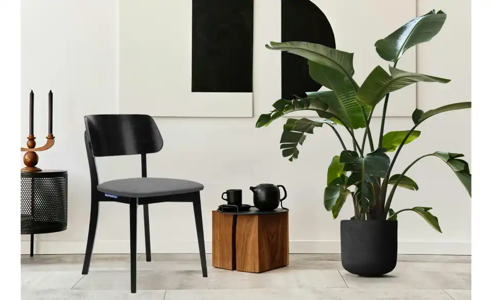 KONSIMO Holzstuhl 2er-Set, in Wohnsituation