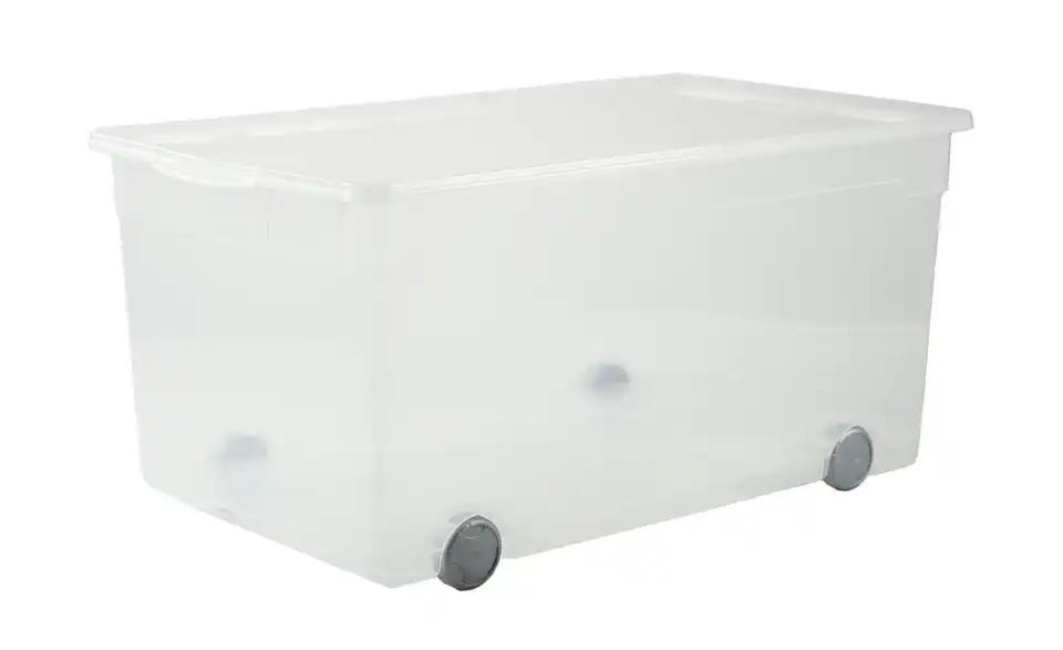 Rotho Aufbewahrungsbox CLEAR, Perspektive