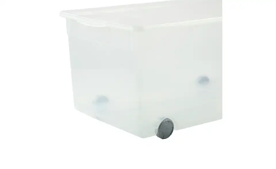 Rotho Aufbewahrungsbox CLEAR, Detailansicht