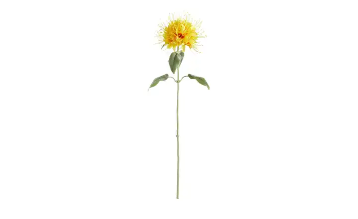  Kunstblume Monarda  