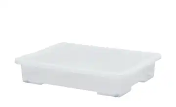 Rotho Aufbewahrungsbox