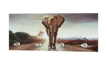 Glasgarderobe Elefant