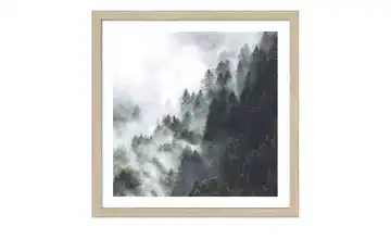  Gerahmtes Bild 33x33 cm  Foggy Trees