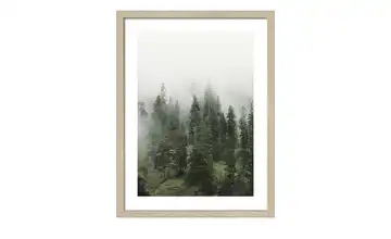 Gerahmtes Bild 30x40 cm Foggy Trees II
