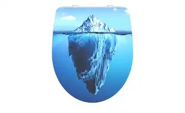 WC-Sitz "Iceberg"