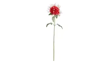 Kunstblume Monarda Rot