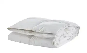  Kassettendecke medium  Arktis