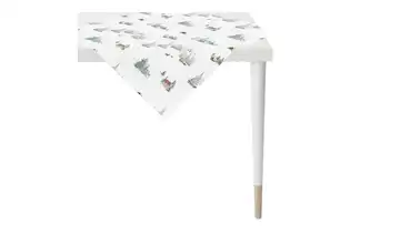 Apelt Mitteldecke