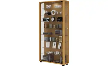Vitrine Buche (Nachbildung), Buche