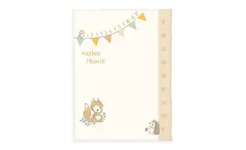  Meilensteindecke  