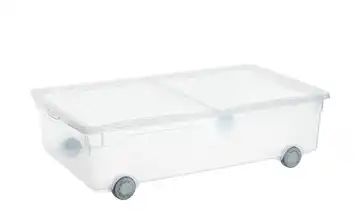 Rotho Aufbewahrungsbox mit Rollen