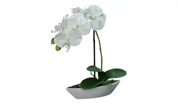  Orchideenarrangement in Kunsttoffschale 