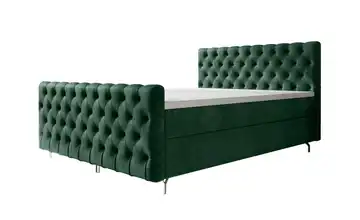 Boxbett mit Stauraum Chester 160x200 cm Grün
