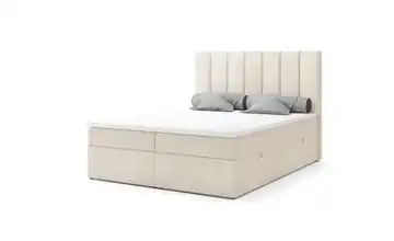  Polsterbett  